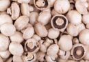 Mushroom is very important for human health | मशरूम में छिपे हैं सेहत के राज, इन 5 वजहों से जरूर करें इसका सेवन