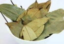 [Daily drinking bay leaf tea will make you beautiful and fit] | [केवल स्वाद ही नहीं बल्कि आपके फिटनेस और खूबसूरती का भी राज हो सकता है तेज पत्ता]