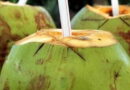 know about the benefits of coconut water | वजन कम करना हो या फिर दिल को रखना है स्वस्थ तो रोजाना पीएं नारियल पानी