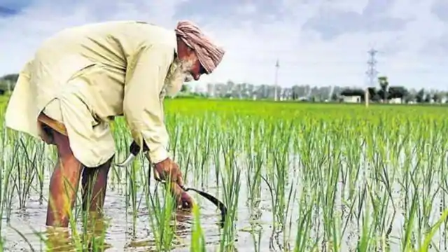 जानिए कैसे मंदी में फंसी इंडियन इकॉनमी को संभाल रहे हैं किसान, छोटे कारोबारी और आम लोग