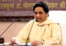 Bsp Supremo Mayawati Attack Pm Modi Campaign As | पहले चायवाला और अब चौकीदार, देश वाकई बदल रहा है: मायावती