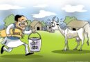 Madhya Pradesh : Shivraj government decides to form Cow Cabinet for protection of cows in state | मध्यप्रदेश में गौधन संरक्षण के लिए 6 विभागों की गौ-कैबिनेट बनी, 22 नवंबर को पहली बैठक