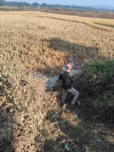 Dead body of a young man found in a field