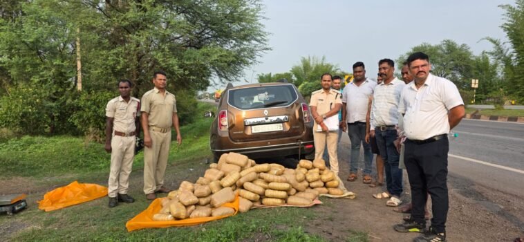 Police seized 149 kg ganja from a car near Rourkela